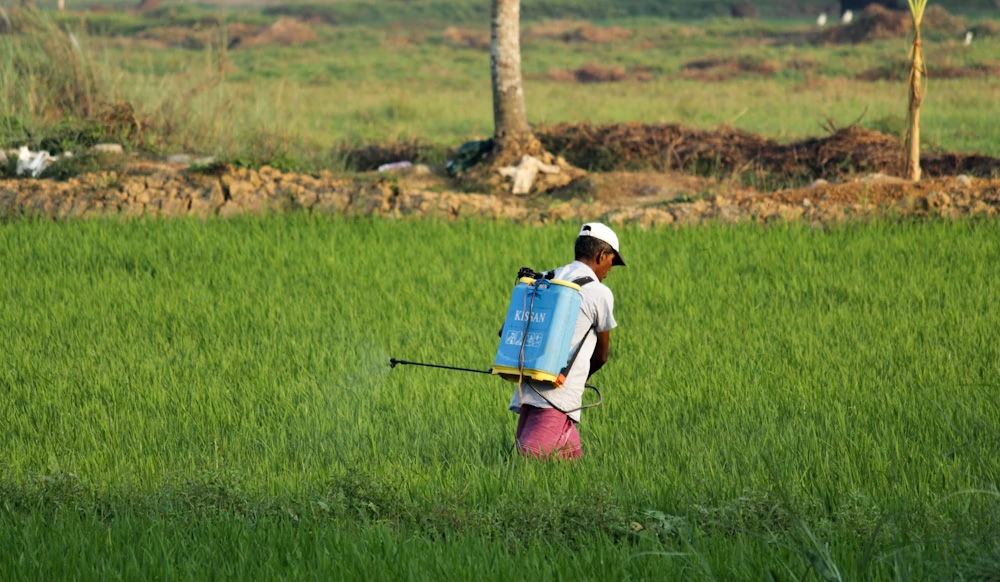 Agricultural field