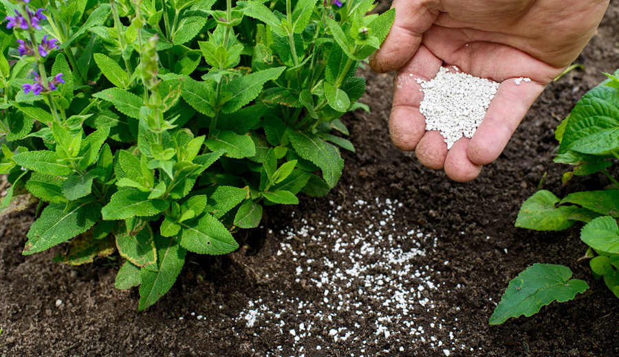 Organic compost